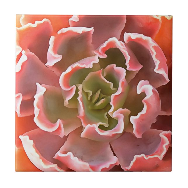 Stunning Garden Succulent Pink Tones Realistic Art Tile (Front)