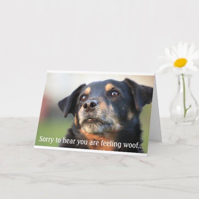 Stunning Get Well Soon Dog Greeting Card (Small Plant)