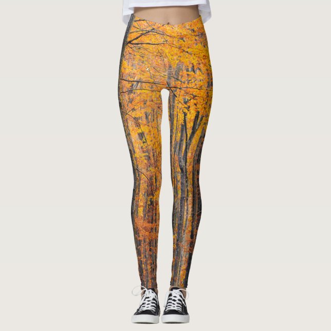Stunning gold autumn forest leggings (Front)