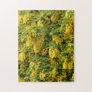 Stunning Golden Chain / Laburnum Tree Jigsaw Puzzle