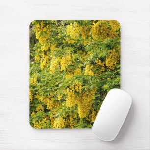 Stunning Golden Chain / Laburnum Tree Mouse Mat