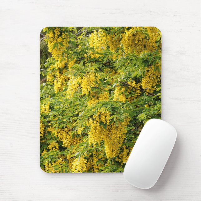 Stunning Golden Chain / Laburnum Tree Mouse Mat (With Mouse)