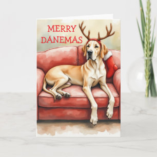 Stunning Great Dane Christmas Card
