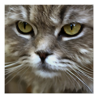 Stunning Grey Cat Pet Artistic Portrait Poster