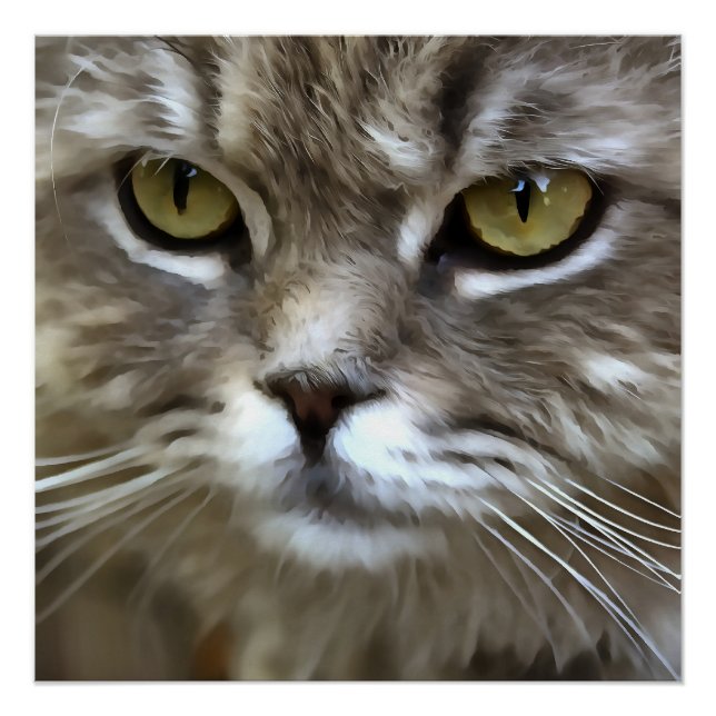 Stunning Grey Cat Pet Artistic Portrait Poster (Front)