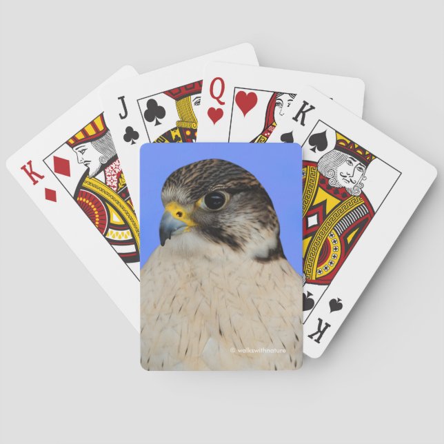 Stunning Gyrfalcon Saker Hybrid Falcon Playing Cards (Back)