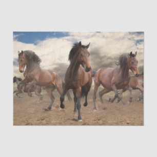 Stunning Herd Of Horses Tissue Paper