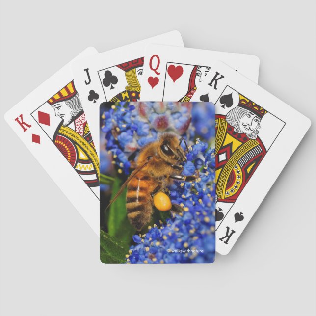 Stunning Honeybee on the California Lilac Shrub Playing Cards (Back)