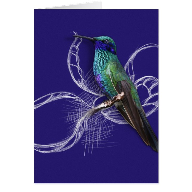 Stunning Hummingbird - personalise by adding name (Front)