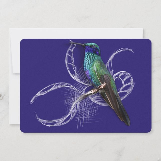 Stunning Hummingbird - personalise by adding name (Front)