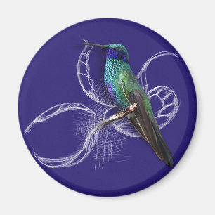 Stunning Hummingbird - personalise by adding name Magnet