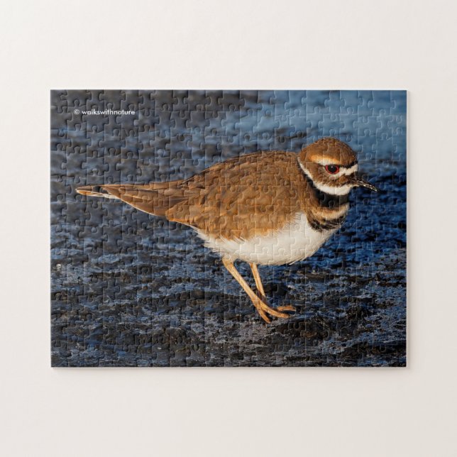 Stunning Killdeer Shorebird on the Icy Mudflats Jigsaw Puzzle (Horizontal)