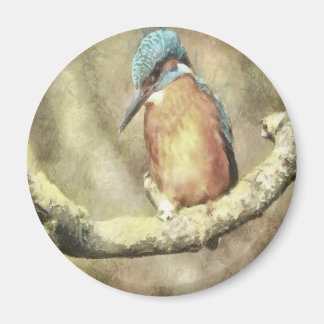 Stunning Kingfisher In Watercolor Magnet
