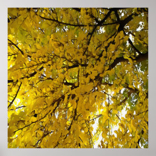 Stunning Leaves Autumn Vibes Abstract Art Poster