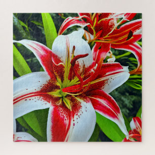 Stunning lilies jigsaw puzzle