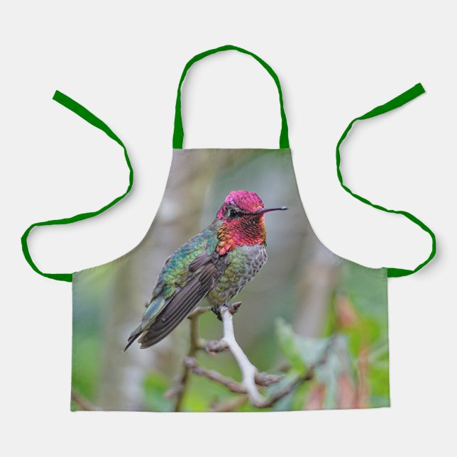 Stunning Male Anna's Hummingbird on the Plum Tree Apron (Front)
