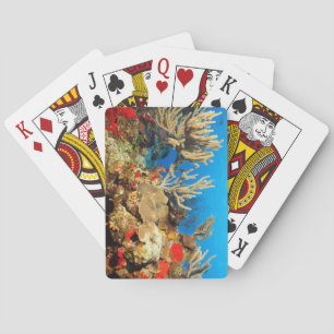 Stunning Marine Life View from a Submarine Playing Cards