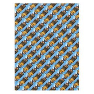 Stunning! Medieval Bruges - Pro Photo Tablecloth