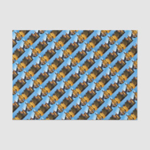 Stunning! Medieval Bruges - Pro Photo Tissue Paper