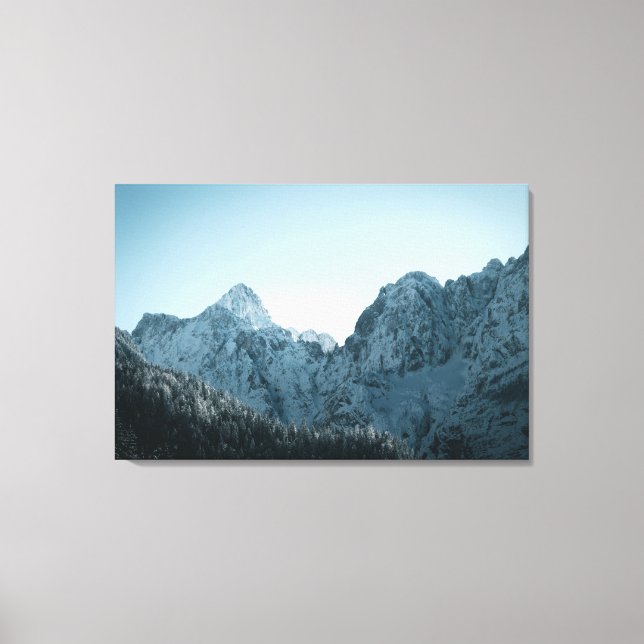 Stunning mountains and spruce forest canvas print (Front)