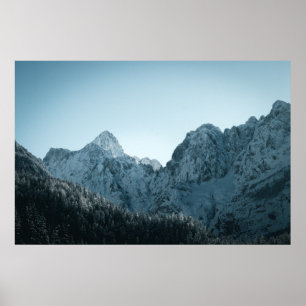 Stunning mountains and spruce forest poster