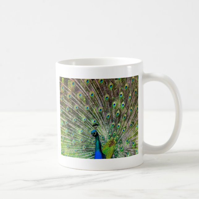 Stunning Peacock  and feathers photo accessories Coffee Mug (Right)