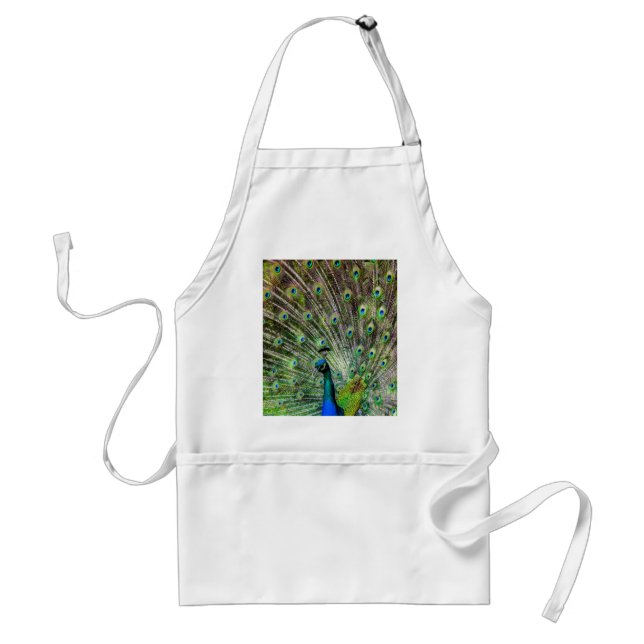 Stunning Peacock  and feathers photo accessories Standard Apron (Front)