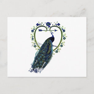 Stunning Peacock and ornate heart flower frame Postcard