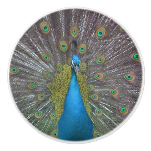 Stunning Peacock Ceramic Knob