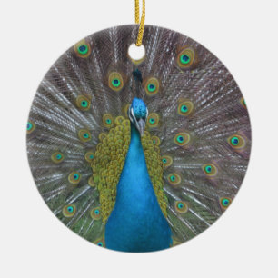 Stunning Peacock Ceramic Tree Decoration