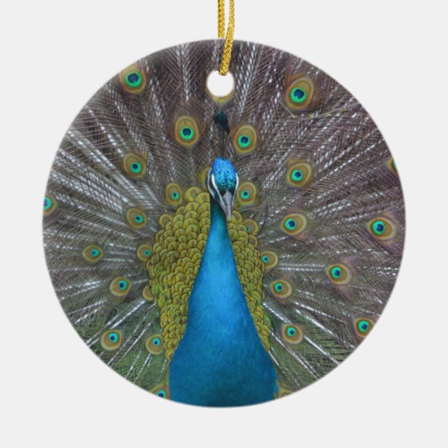Stunning Peacock Ceramic Tree Decoration (Front)