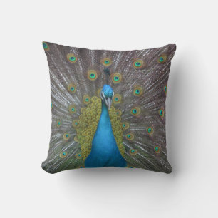 Stunning Peacock Cushion