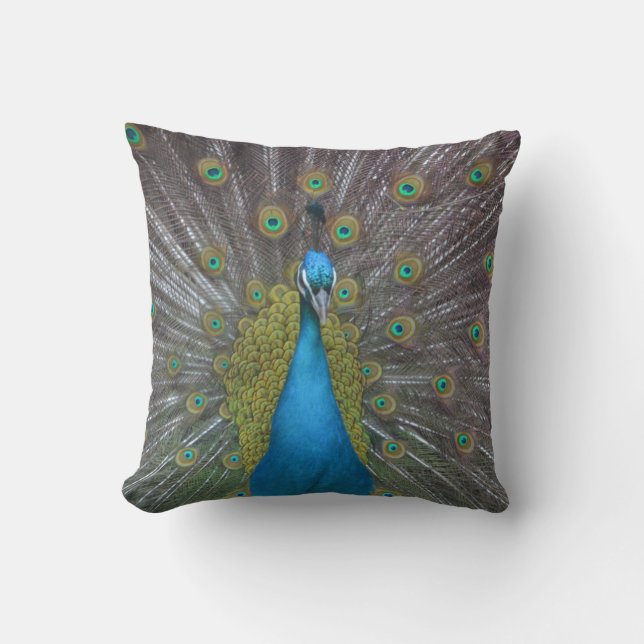 Stunning Peacock Cushion (Front)