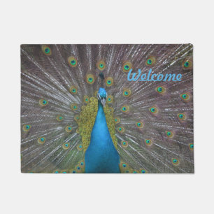 Stunning Peacock Doormat