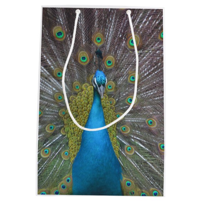 Stunning Peacock Medium Gift Bag (Back)