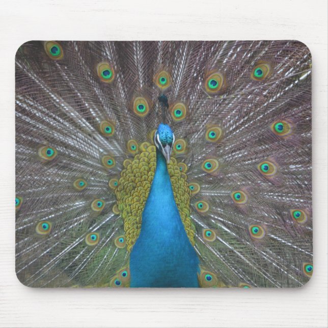 Stunning Peacock Mouse Mat (Front)