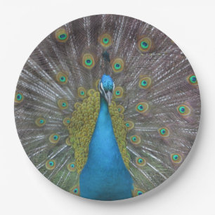 Stunning Peacock Paper Plate