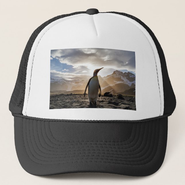 Stunning picture of a penguin trucker hat (Front)