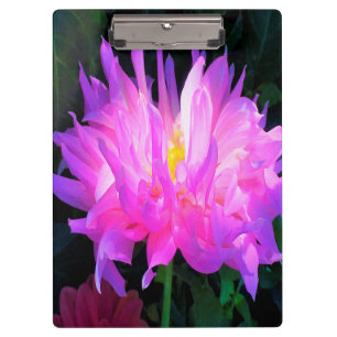 Stunning Pink and Purple Cactus Dahlia Clipboard
