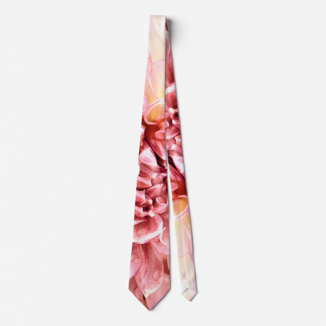 Stunning pink dahlia flower head close up tie (Front)