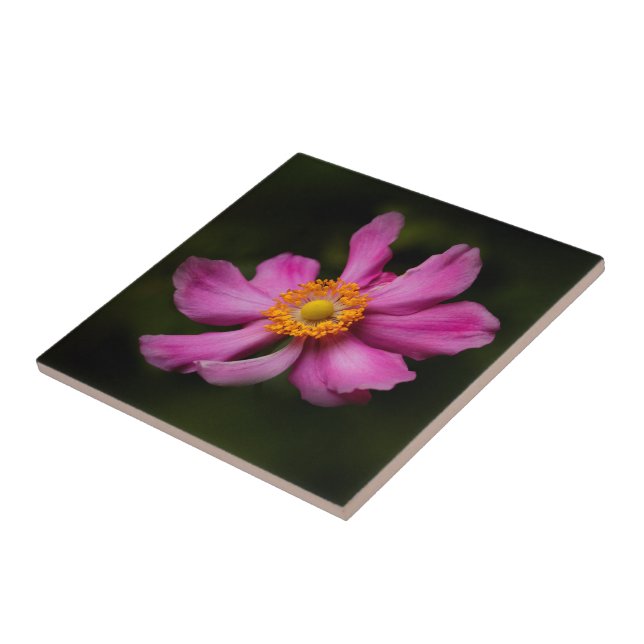 Stunning Pink Japanese Anemone Flower Tile (Side)