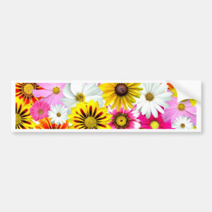 Stunning pink yellow flowers pattern accessories bumper sticker