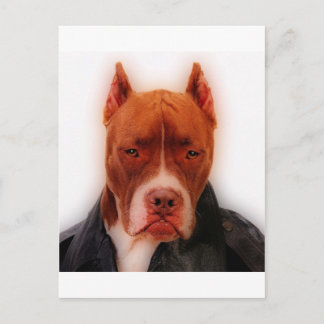 Stunning Pit Postcard