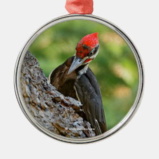 Stunning Portrait of Pileated Woodpecker on Tree Metal Tree Decoration