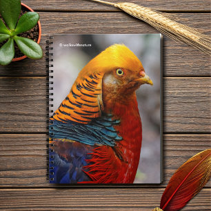 Stunning Profile of a Red Golden Pheasant Notebook