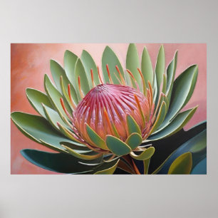 Stunning Protea Painting Vibrant Floral  Poster