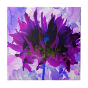Stunning Purple and Black Cactus Dahlia Tile