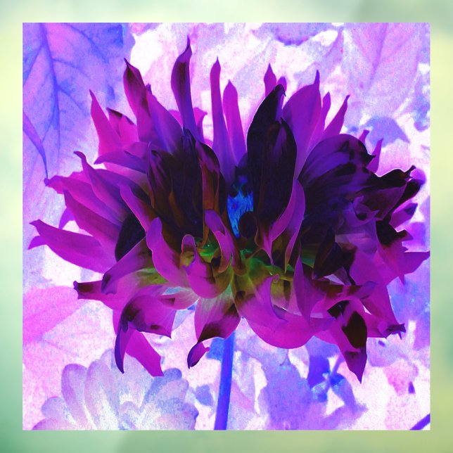 Stunning Purple and Black Cactus Dahlia Window Cling (Sheet 3)
