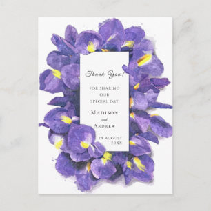 Stunning Purple Irises Watercolor Floral Thank You Postcard