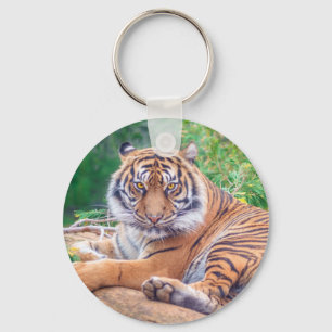 Stunning Reclining Tiger Photograph Key Ring
